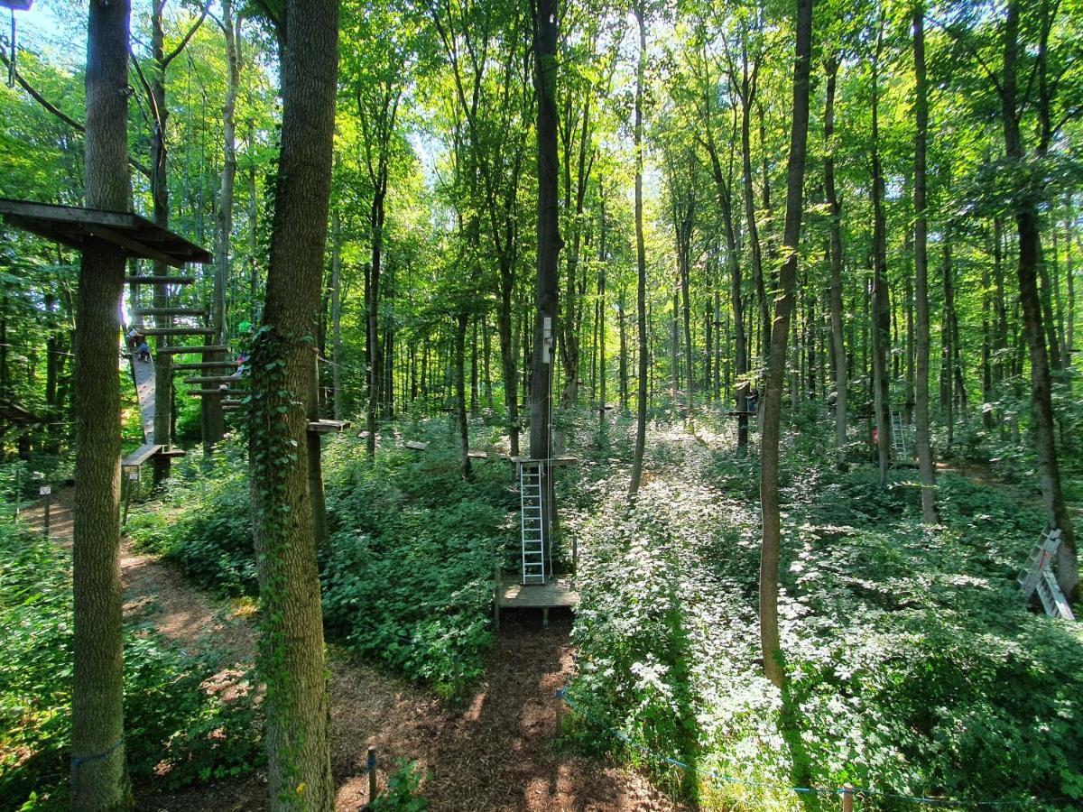 Ferienhaeuser Oberdorla ภายนอก รูปภาพ